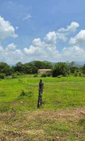 Agricultural Land