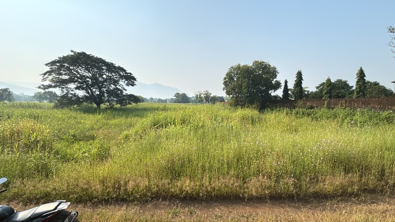 TAMBAS 4.5 ACRES